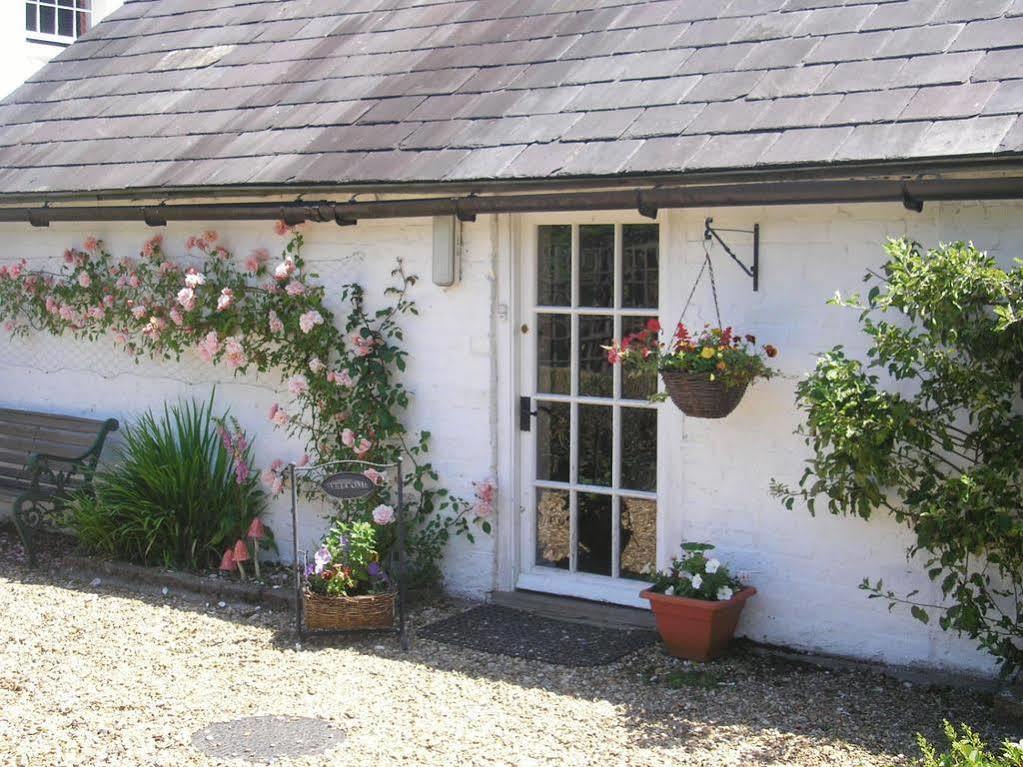 Detling Coachhouse Bed & Breakfast เมดสโตน ภายนอก รูปภาพ